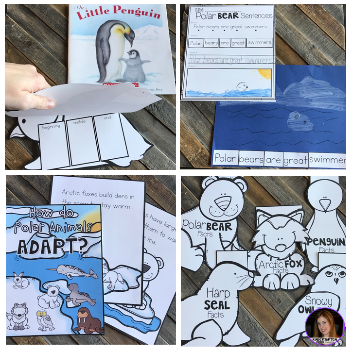 Arctic and Polar Animal {20+ Activities} for Kindergarten and First Grade