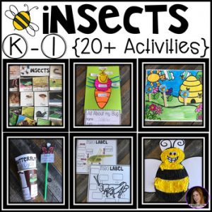 Insect Writing