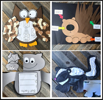 Nocturnal Animals (20+ Writing, Science and Literacy Activities) K-1