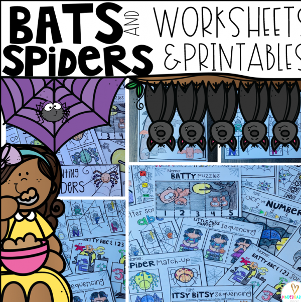 Bats and Spiders