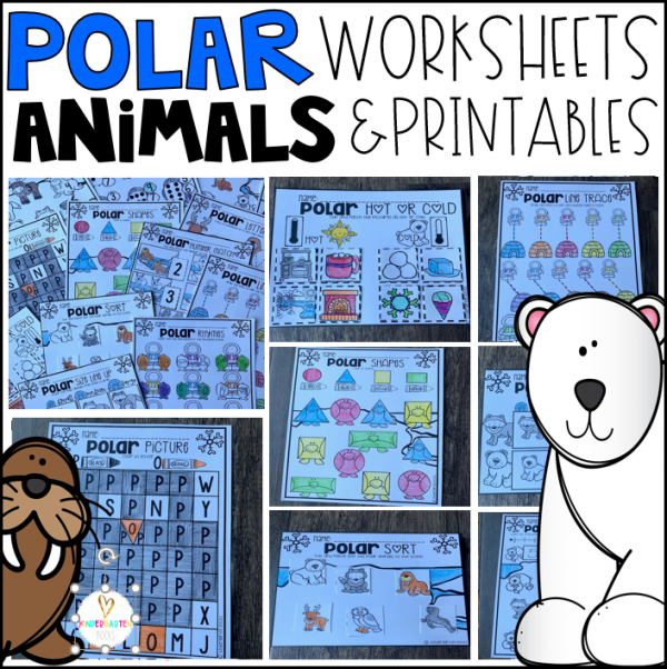 Polar Animal Math