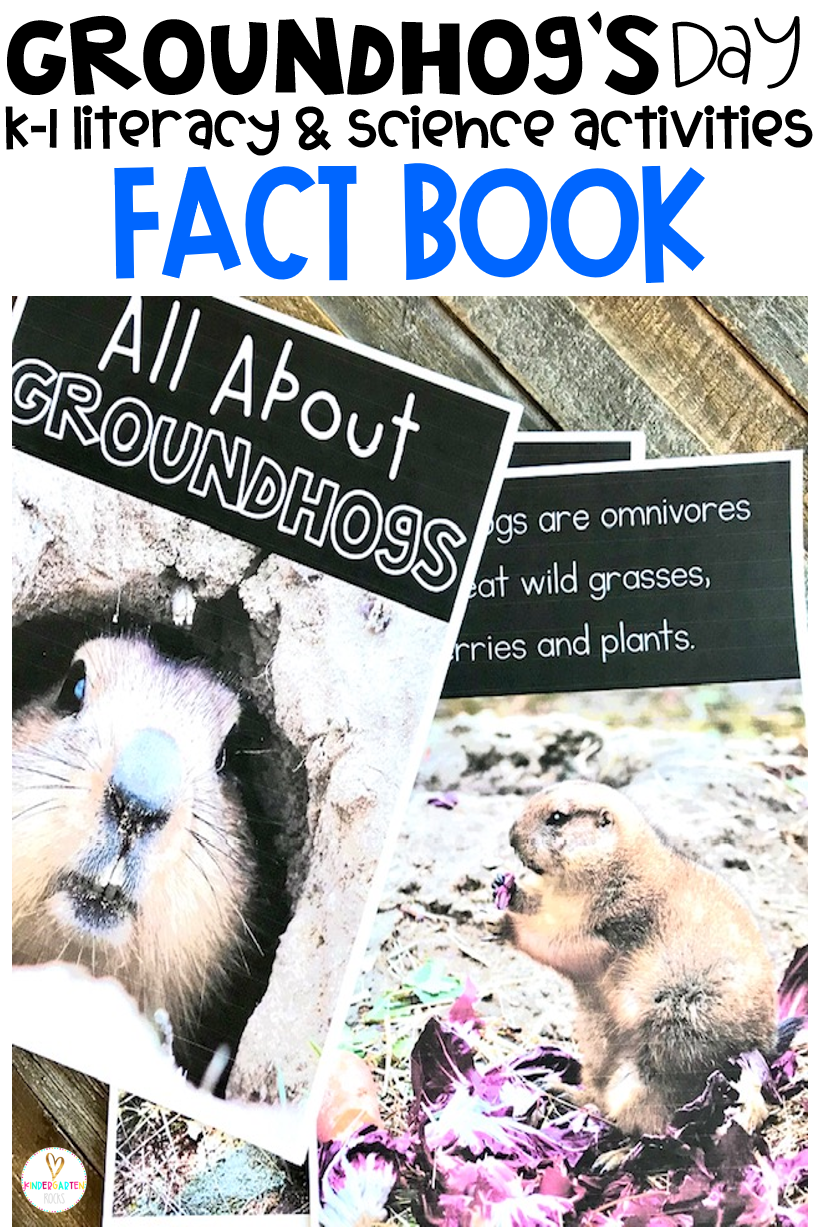 Are you looking for Groundhog's Day activities for kindergarten? Then you will love our literacy and science centers.